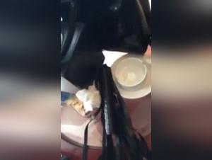 First Part of a Sensory Madness