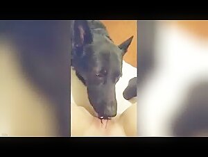 Intense bestiality scene with a submissive female dog