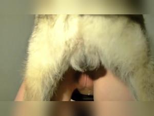 Four -legged sluts: immodest delights