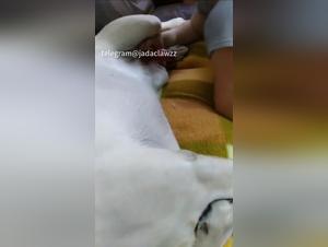 Forbidden Desire, Canine Pleasure