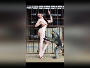 Captive Women, Unleashed Instincts: The Wild World of Animal Sex