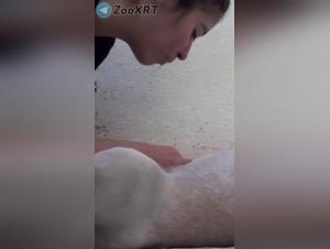 Laming de animales: revela la pasion de los animales