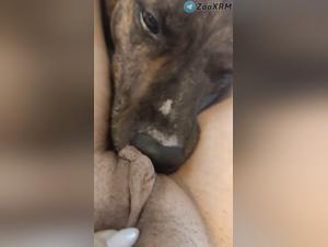 Raw Delights: A Forbidden and Exhilarating Licking Game