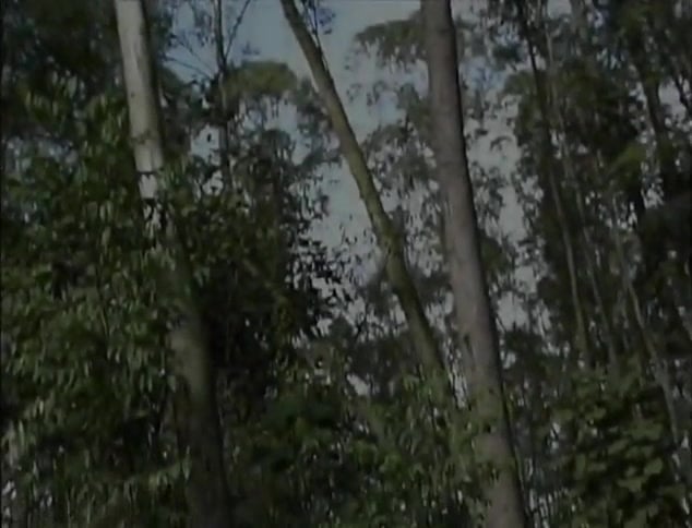 Horse Whip The Wild Blonde's Deep Hole
