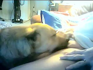 Watch this mature woman in a hard sex scene with a dog