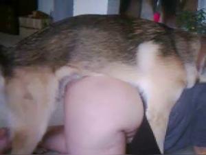 Unprecedented Animal Orgies: A Slut and Her Dog