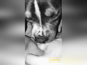 Part 1 - Unexpected and Disappointed Canine Domination