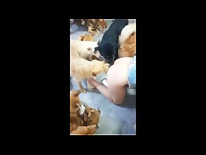 Explore Wild Fun: Gangbangs with Dogs and a Captive Chinese Woman