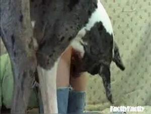 School and experiments: when desire exceeds the limits