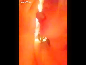 Bestiality sex video with a dog: an extreme experience