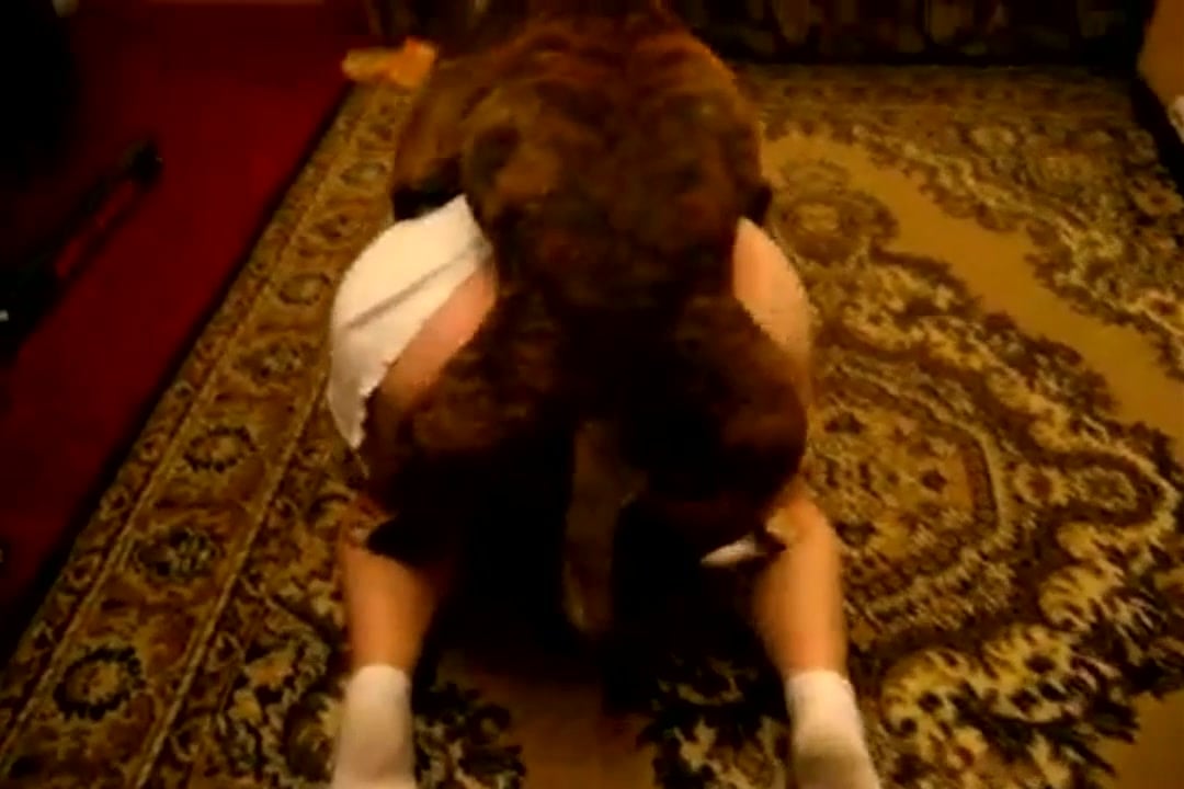 Delirio Canino