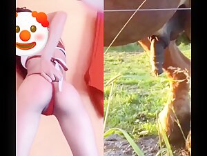 Bestiality video with a horse