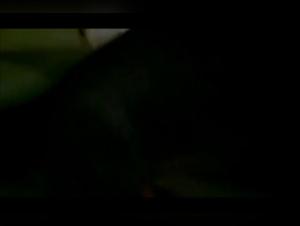 Immersion in a dark world: female dogs and Dogs in the extreme act