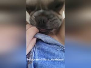 Adolescent submission, canine enjoyment