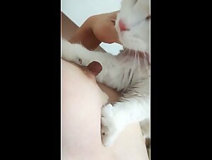 Entdecken Sie in diesem extremen Porno die Welt des Tiersex und der Zoophilie
