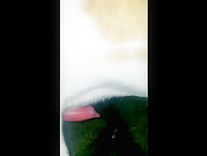 Discover the Forbidden Pleasures of Zoophilia