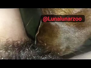 Intense zoophilia experience: the slut lets herself be dominated by her dog.