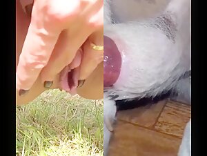 Extreme sex video: a milf and her dog
