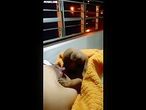 Zoophilia video: a woman and her dog