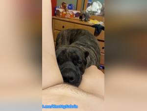Licking and Wild Pleasure: A Dog Fully Explores the Body of a Submissive Woman