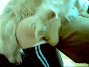 Explore the Limits: Wild Delights in Part 7