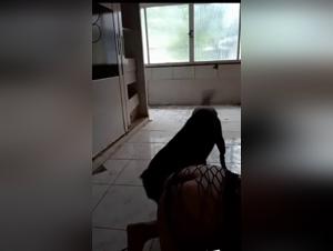 A woman gets fucked by her dog during a wild evening