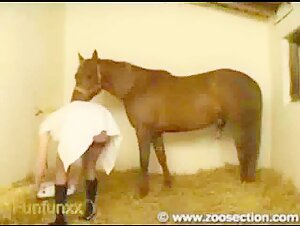 Bestiality sex video with a blonde and a horse