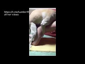 The best sexo com animal videos