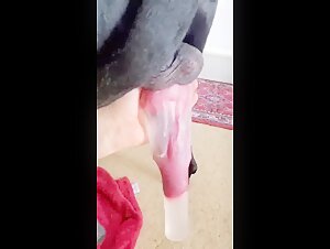 Hard and extreme dog sex videos