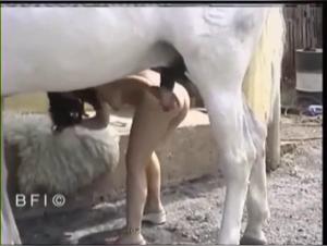 Part 1: Canine Domination and Incandescent Female Desire