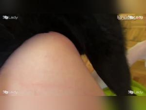 Schmutzige Freuden: Uneingeschrankter Hundefick