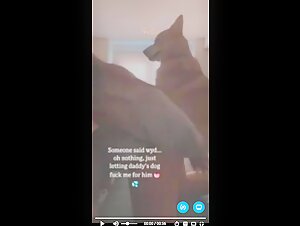 Bestiality: discover the forbidden pleasures