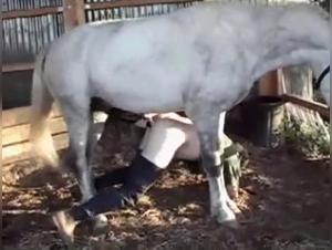 Equestrian domination: Wild kisses and animal pleasure