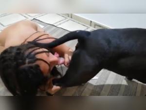 Desatado Animal