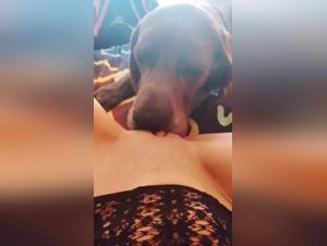 Wild bestial fuck - Kutyam at the heart of a dog attack