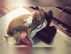 Different Ways to Make Your Sex Dog Joyful to Your Soul