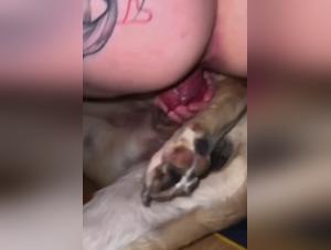 Canine Domination: Extreme Sexual Experiences with Wild Dogs