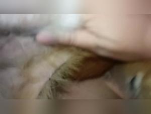 They give in to the raw impulse: Dog Sex & Delices Diaboliques