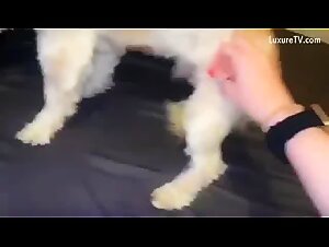 Extreme dog fuck: Hot slut.