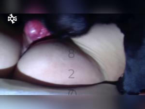 Fougue canine incontrôlable : Sodomie brute et éjaculations incessantes