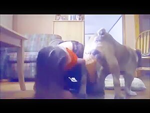 Hard sex and extreme submission scenes in this bestiality video