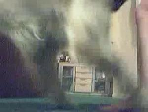 His body responds to impulses, his dog becomes his object of desire