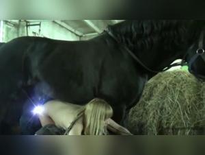 Animal Submission and Delirium: Explore the Dark Side