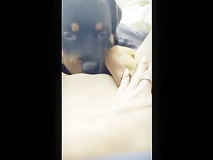Dog Sex Videos: Watch this Woman Push the Limits