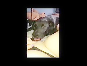 Dog Sex Videos: Watch This Innocent Teen in a Hardcore Scene