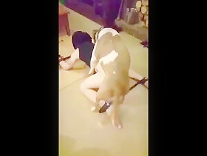 Extreme zoophilia video: sex with dog