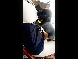 Dog sex video: Woman breastfeeding a puppy