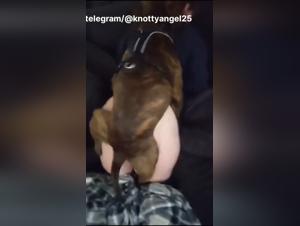 Discover the art of zoophilia with our dog