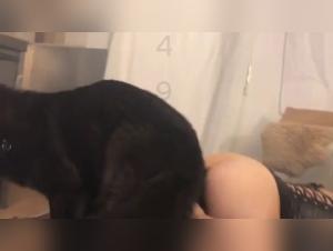 Animal Transgression: Forbidden Delights