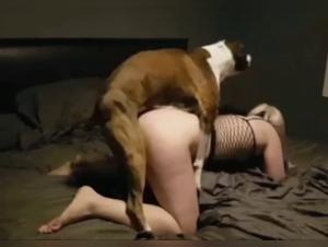 Délices Sombres :  Découvrez le Pouvoir Féminin sous le Domination Canine